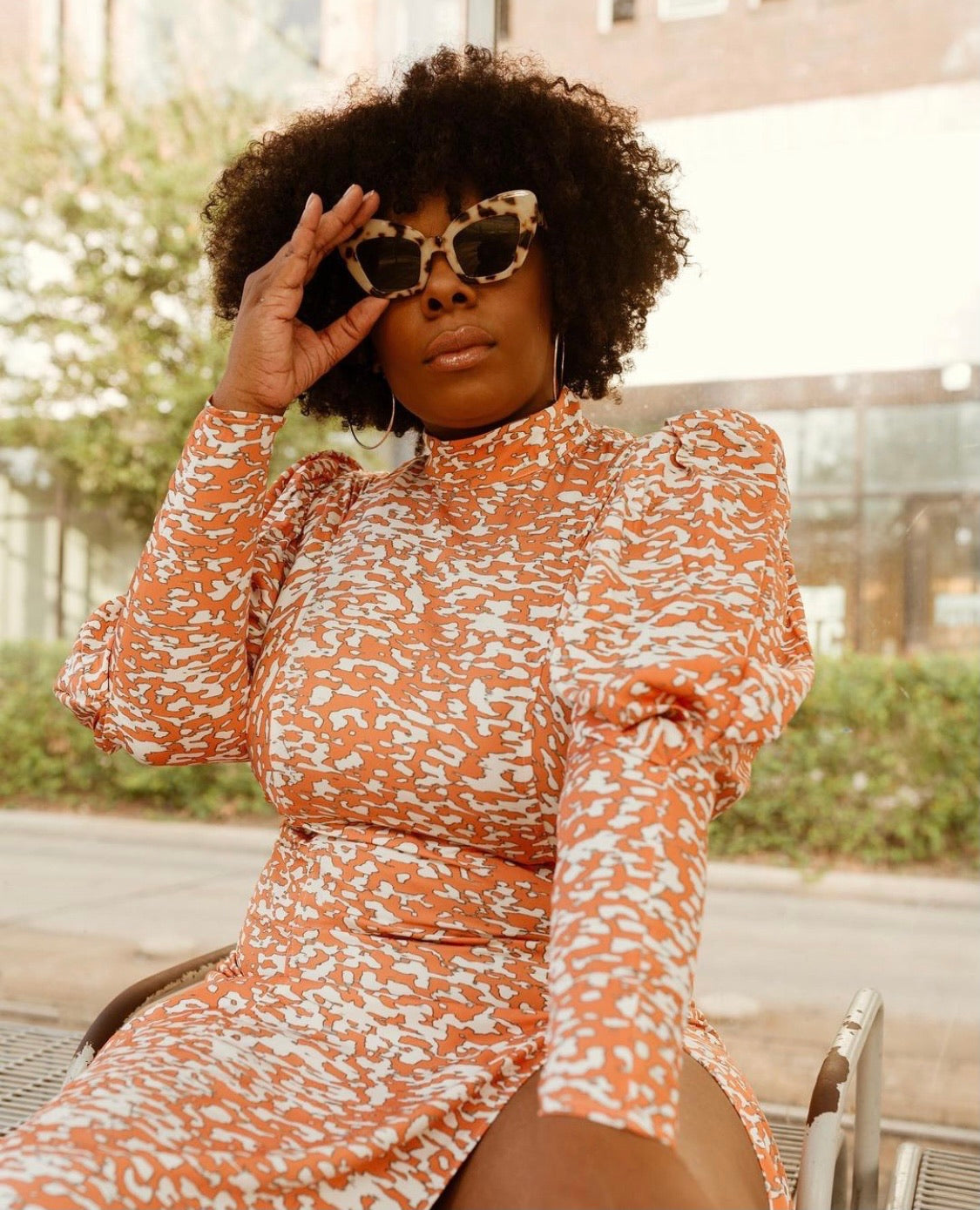 Puff Sleeved Dress