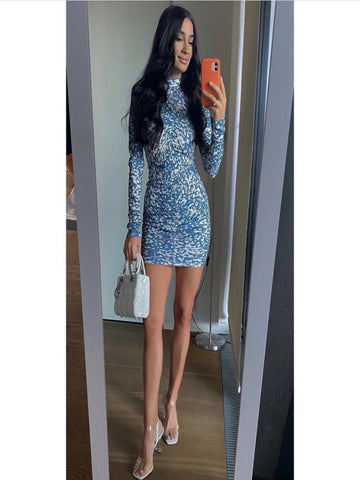 Large puff Sleeved Dress